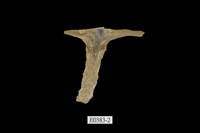 藏品(丁蠣)的圖片